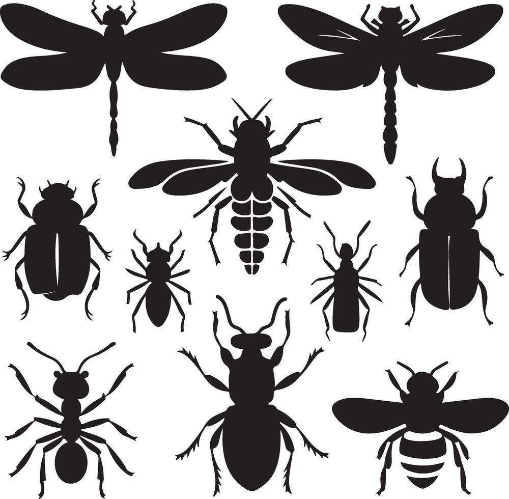 Art and Illustration of a insect silhouette image set vector