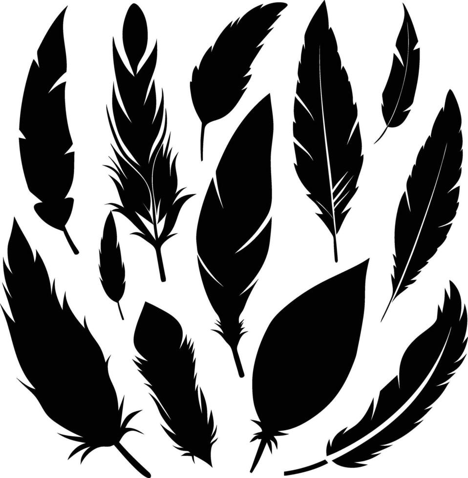 Detailed feather silhouette set, black feather shapes set. vector