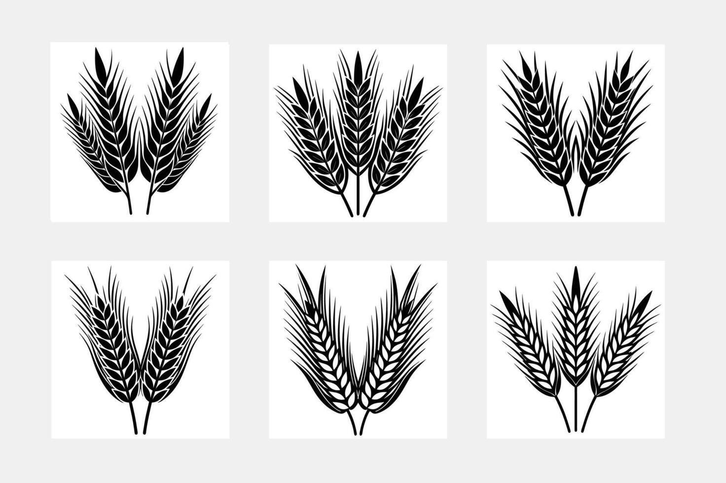 set of wheat ears vector