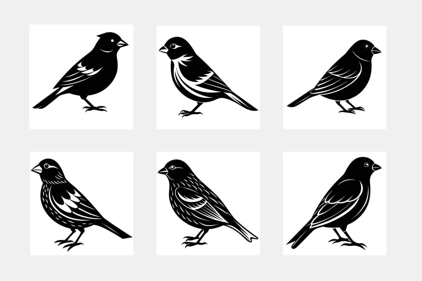Bulbul simple illustration silhouette set vector