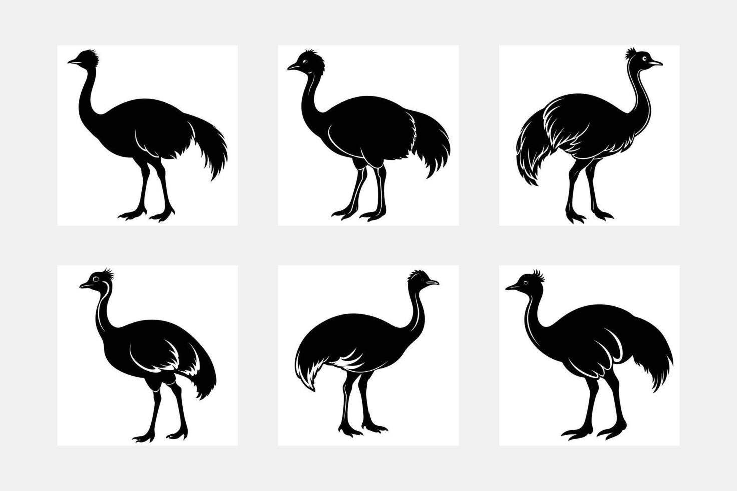 Cassowary silhouette set vector