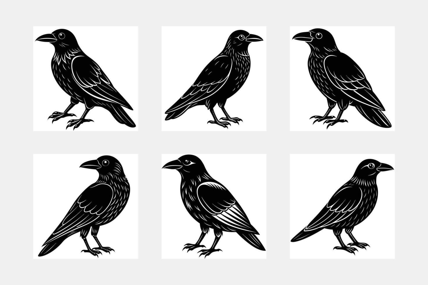 Crow illustration bundle vector