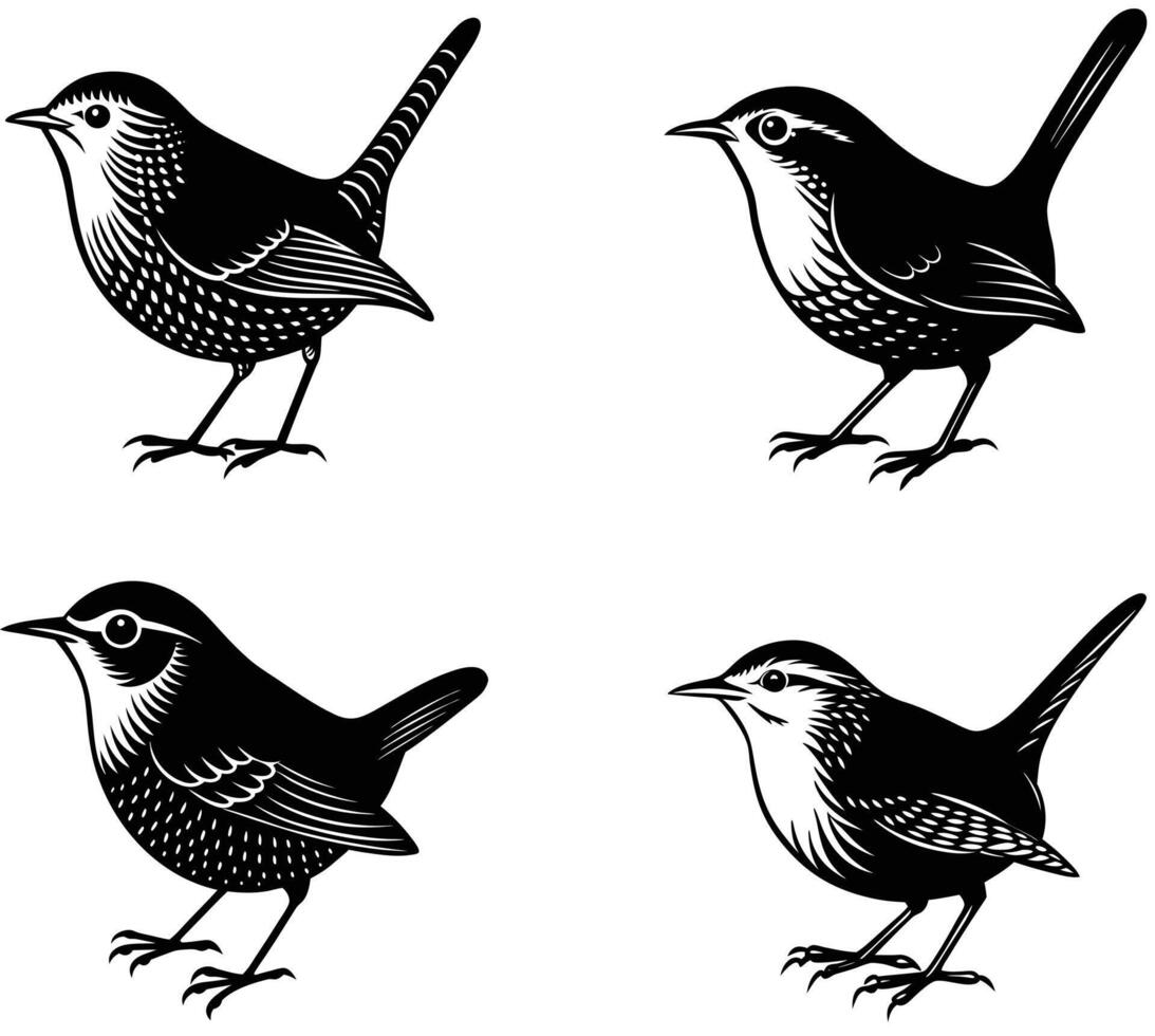 silhouette set of warren Bird vector