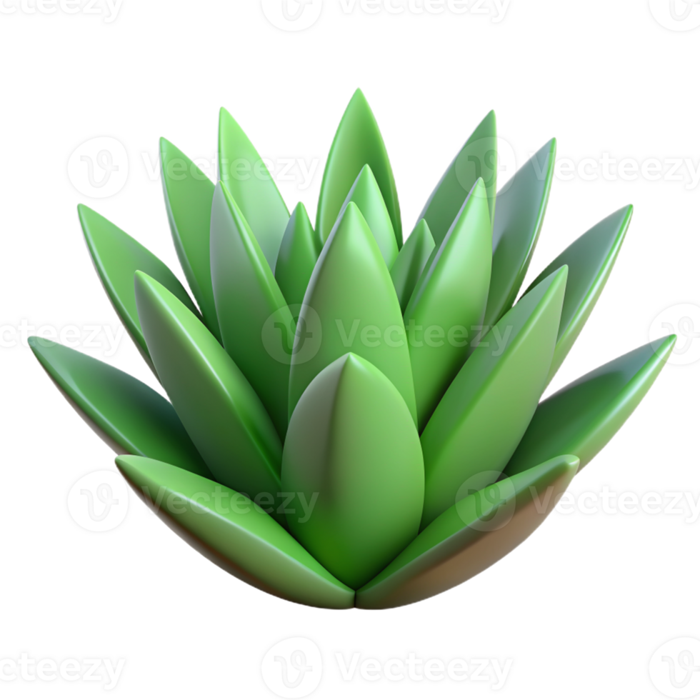 mexican culture 3d illustration of agave plant png
