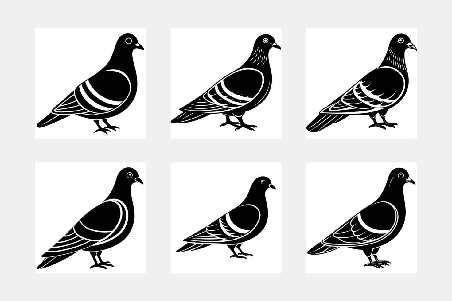 pigeon illustration bundle vector