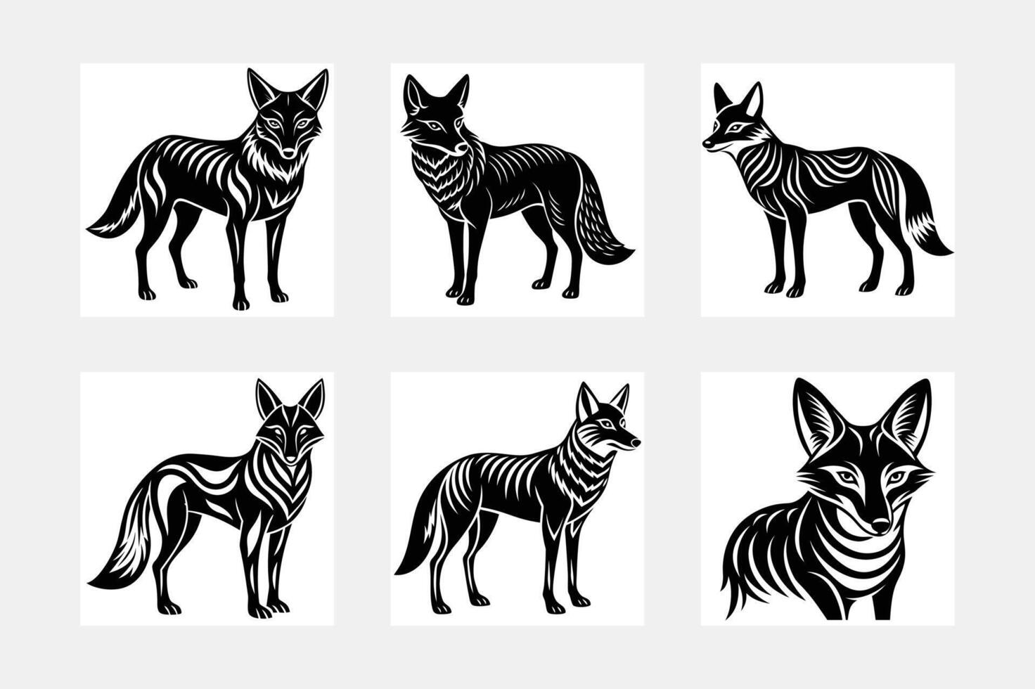jackal illustration bundle vector