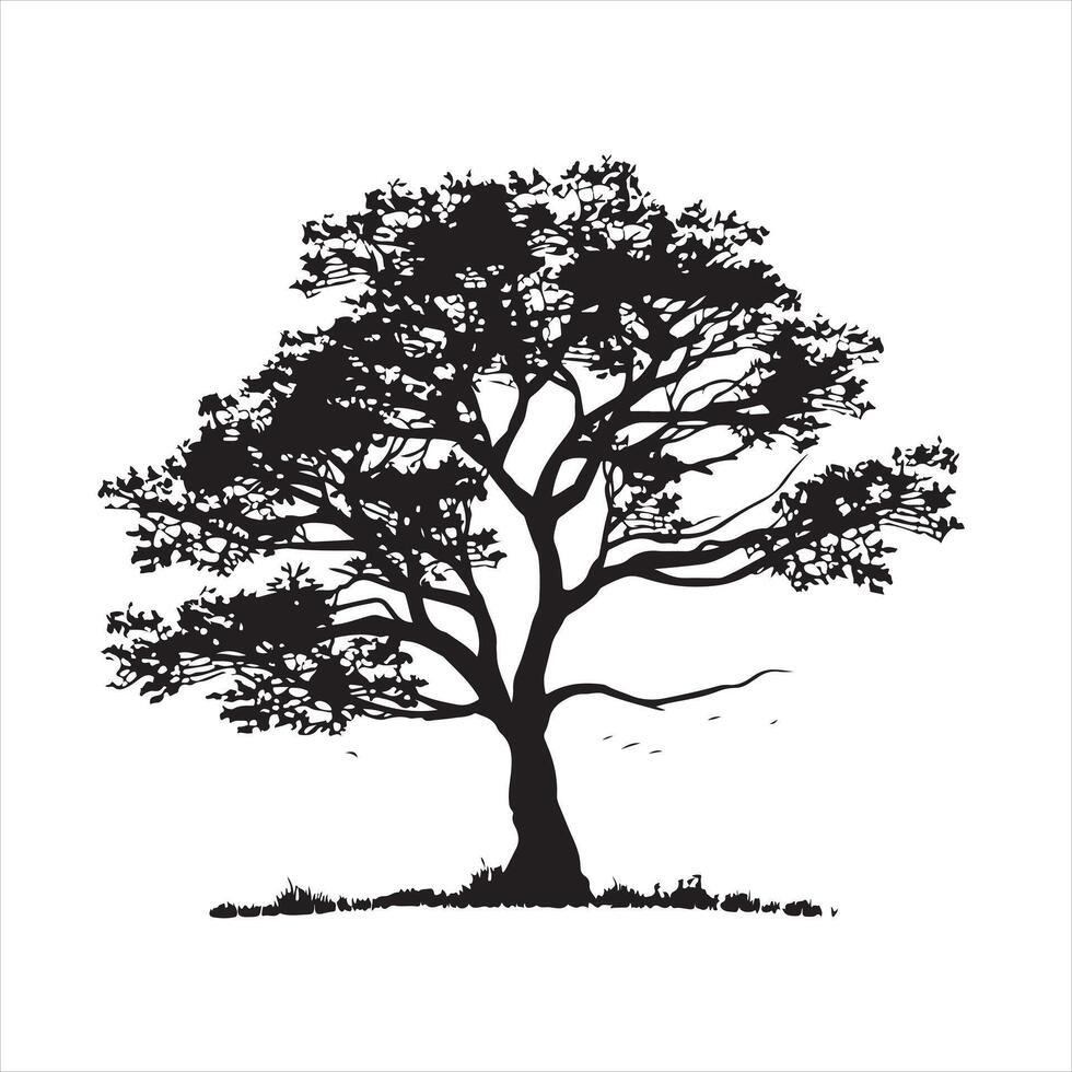 tree with leaves silhouette white background vector