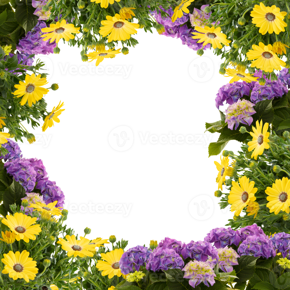 blomning blomma ram skära ut isolerat transparent bakgrund png