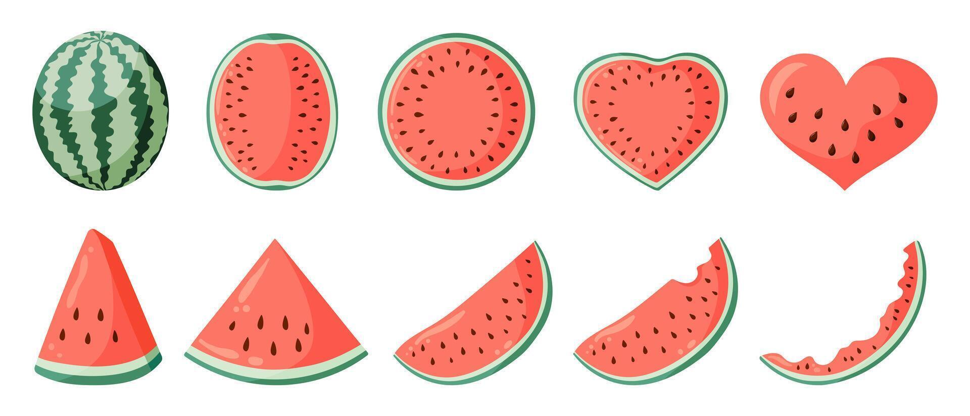 Watermelon illustrations set with whole watermelon and watermelon slices. Flat style drawings for food graphics, summer designs, menu, logo, stickers. vector