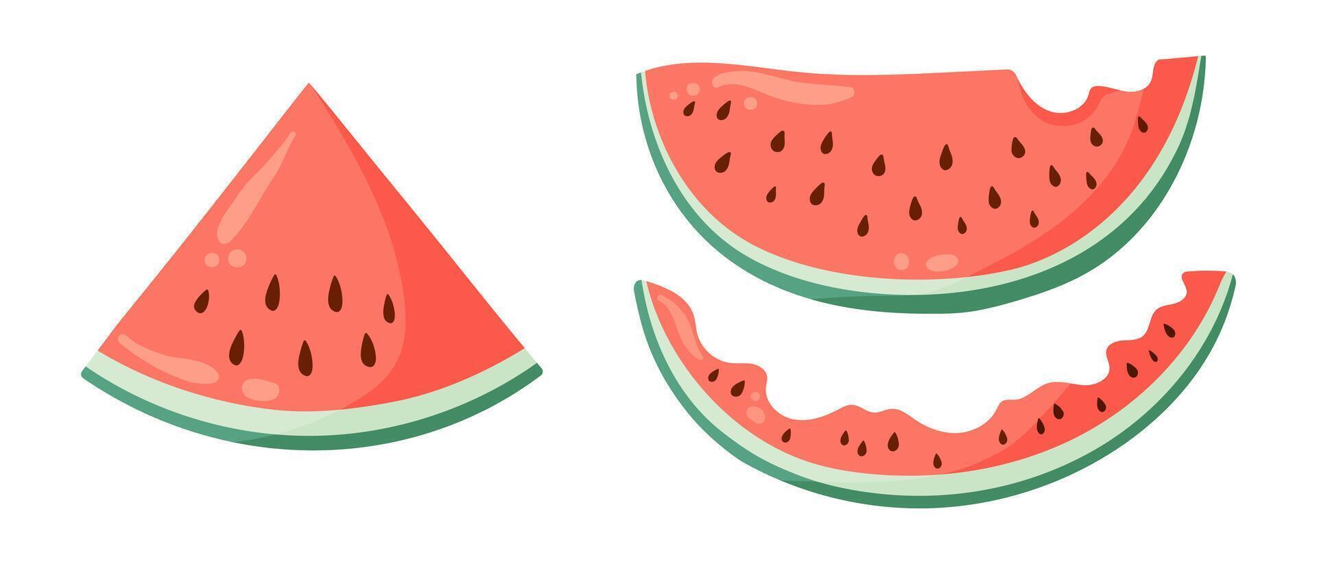 Watermelon illustrations set with watermelon slices. Flat style drawings for food graphics, summer designs, menu, logo, stickers. vector