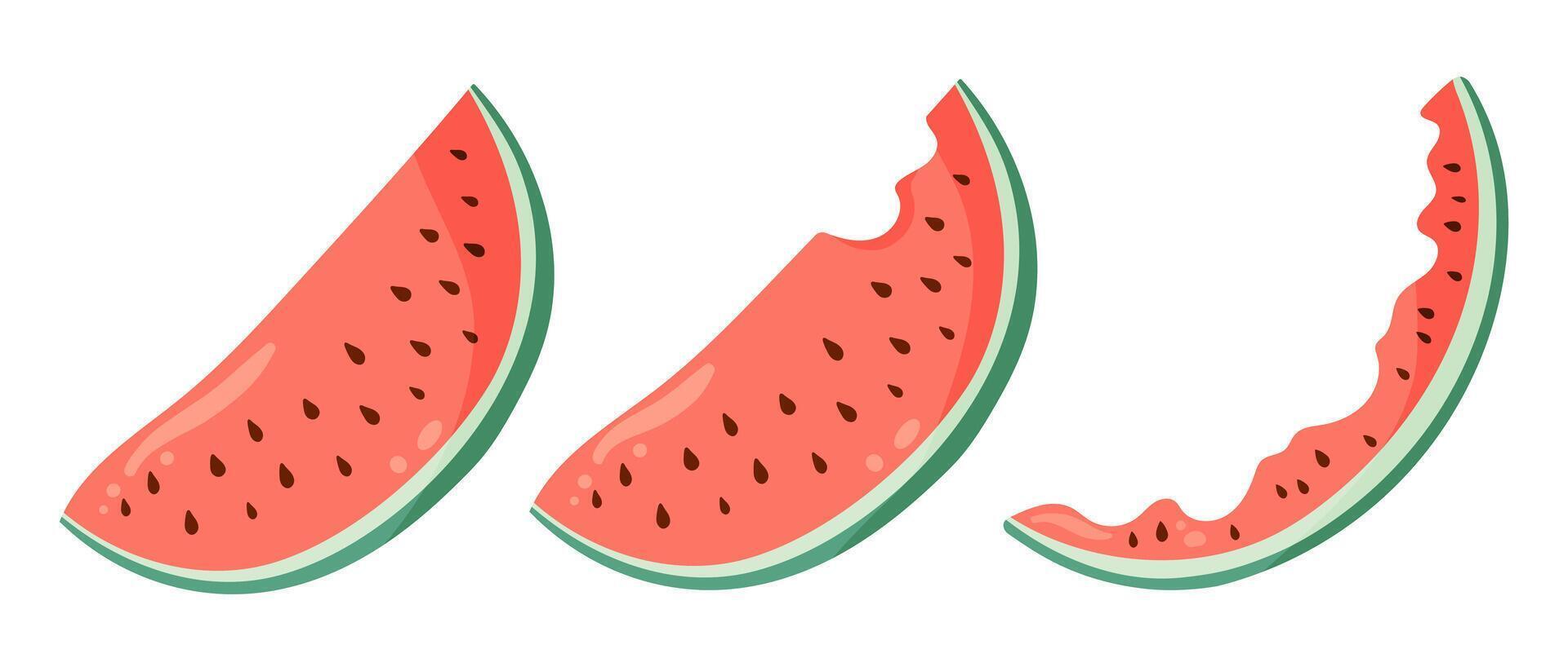 Watermelon illustrations set with watermelon slices. Flat style drawings for food graphics, summer designs, menu, logo, stickers. vector
