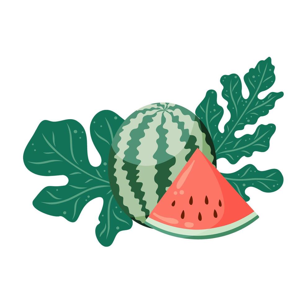 Watermelons composition with whole fruit and a slice, watermelon plant leaves and flowers. Flat illustration. Tropical fruit drawing for food graphics, summer designs, menu, logo, stickers. vector