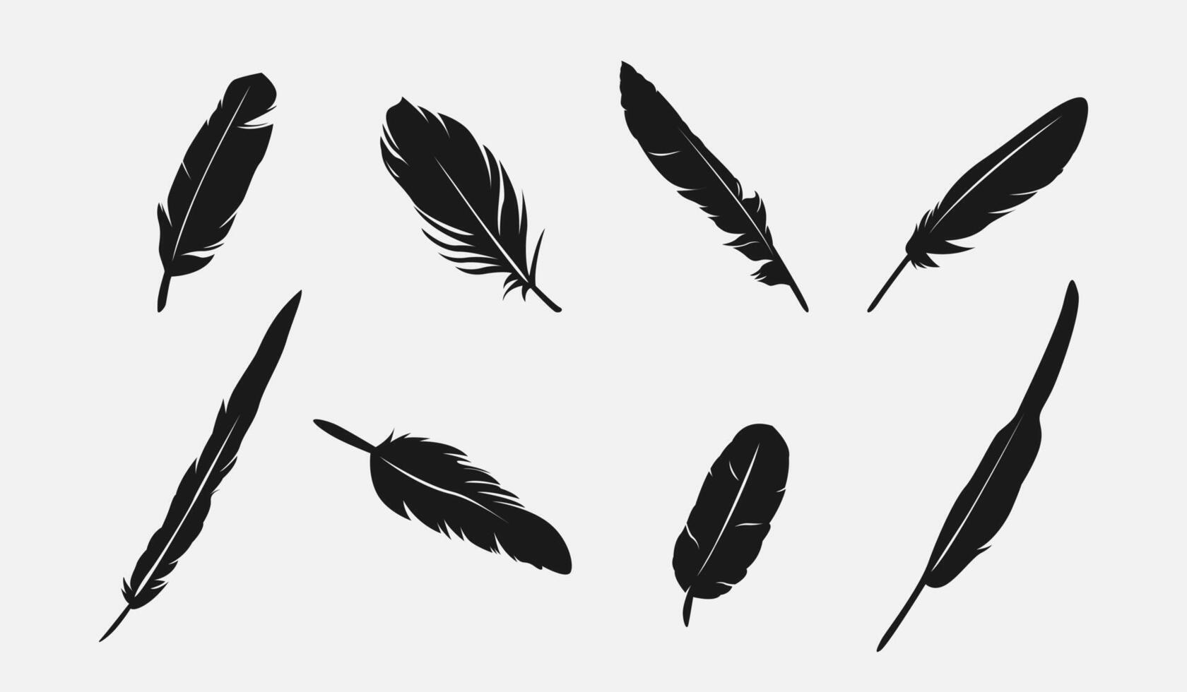 Set silhouette of feathers. Isolated on white background. Graphic illustration. vector