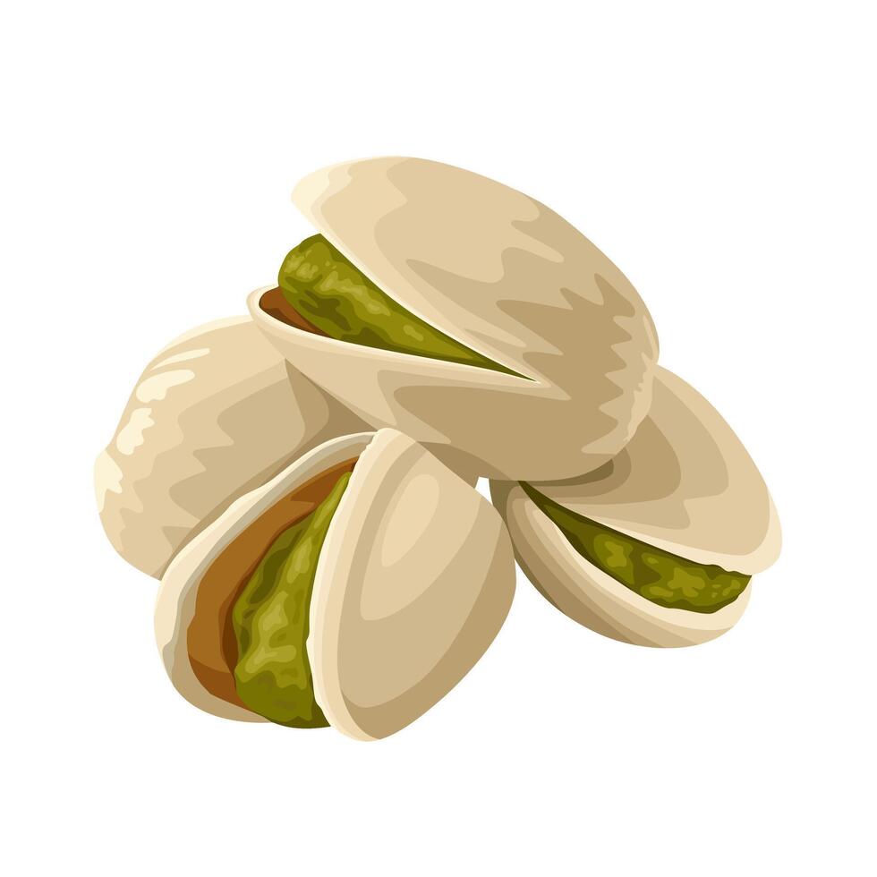 Illustration of pistachio nuts, isolated on white background. vector