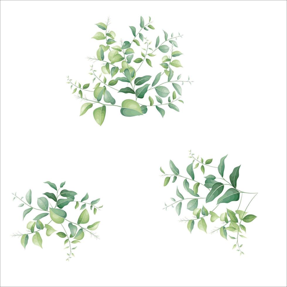 elegant greenery leaves frame bouquet vector