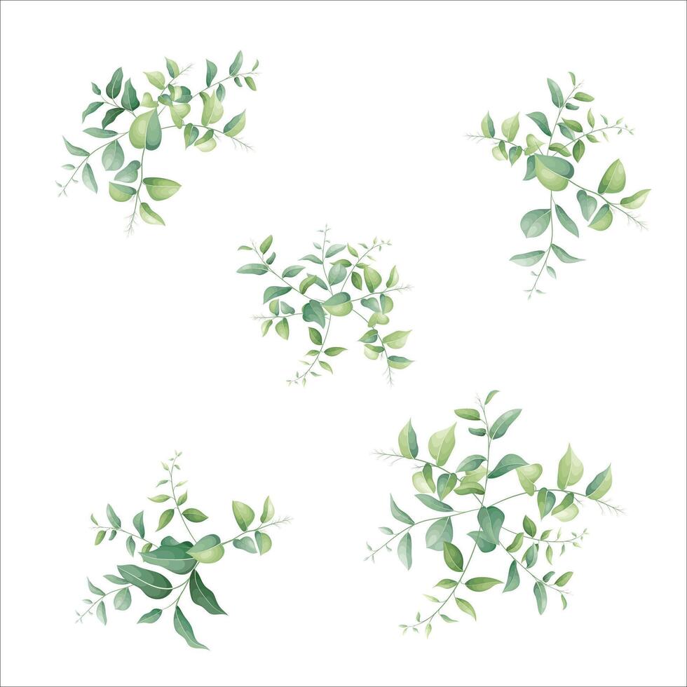 elegant greenery leaves frame bouquet vector