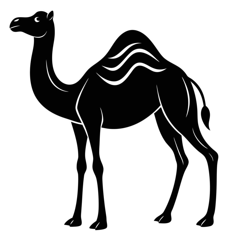 Camel animal Silhouette illustration vector