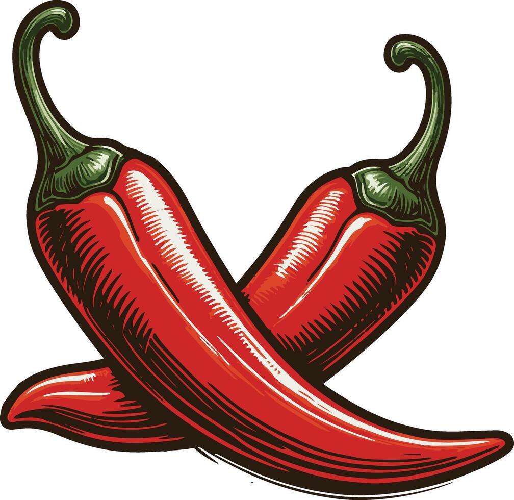 red chili pepper with leaf clip art vector