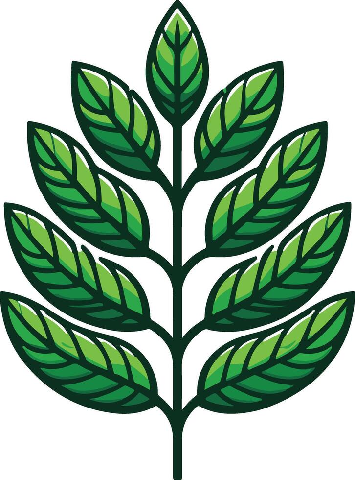 a green leaf with a white background vector