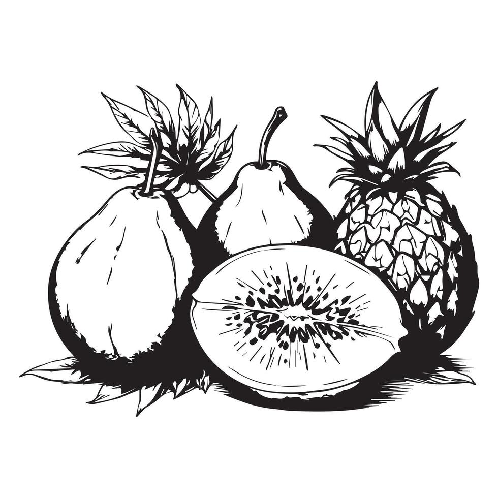 Hand-drawn tropical fruits, featuring intricate black line art. Perfect for adding a touch of exotic elegance to your designs. Ideal for prints, apparel, digital media, and more. vector