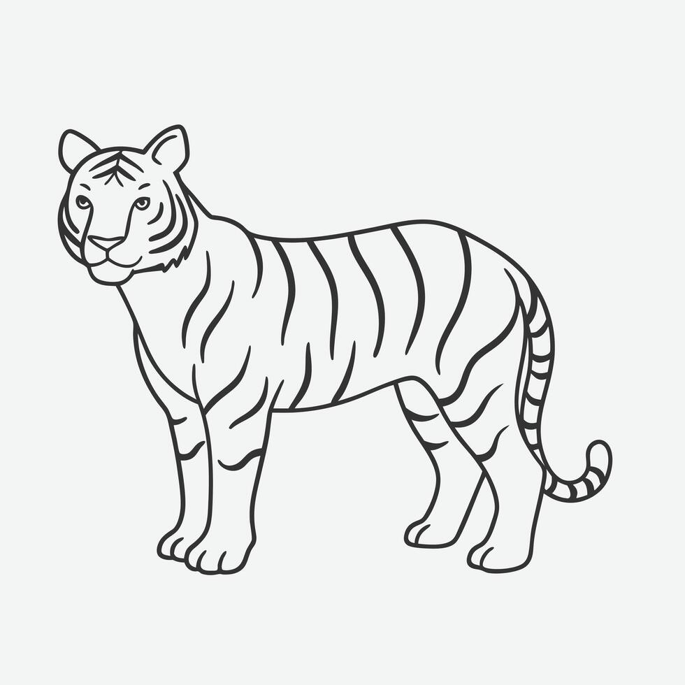 Majestic Tiger Line Art , Exquisite and Detailed Wildlife Illustration vector