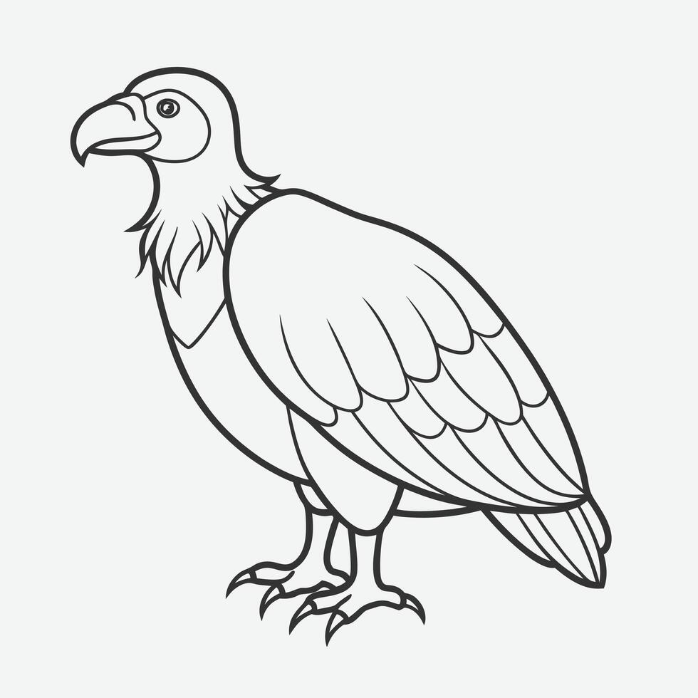 Stunning Condor Line Art Illustration vector