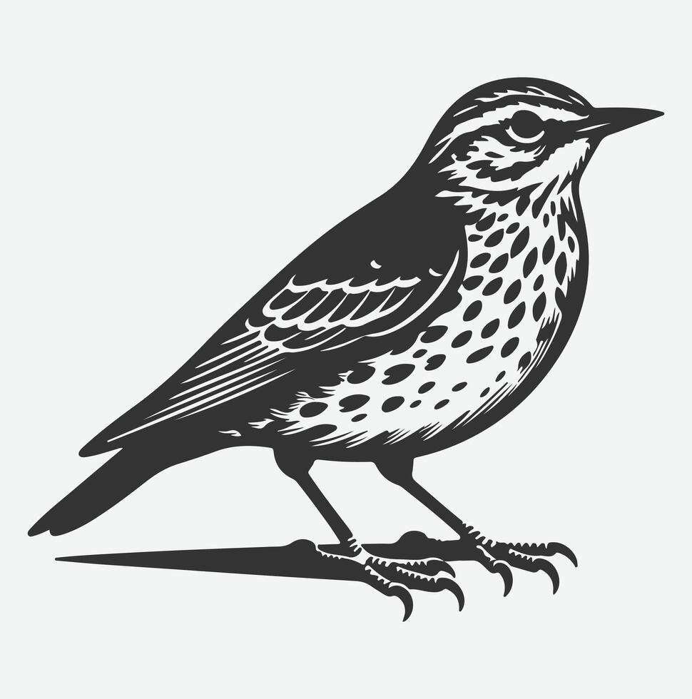 Majestic Lark Silhouette, Capturing Nature's Grace in a Timeless Silhouette vector