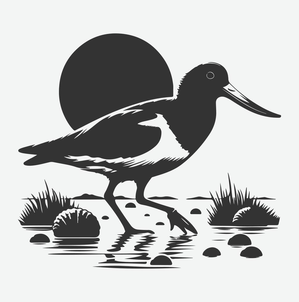 Majestic Oystercatcher Silhouette, Capturing Nature's Elegance at Sunset vector