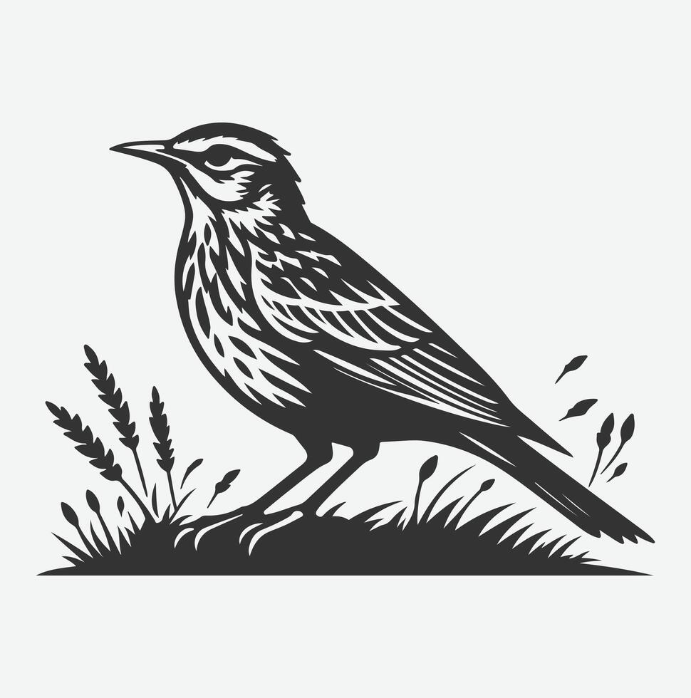 Majestic Lark Silhouette, Capturing Nature's Grace in a Timeless Silhouette vector