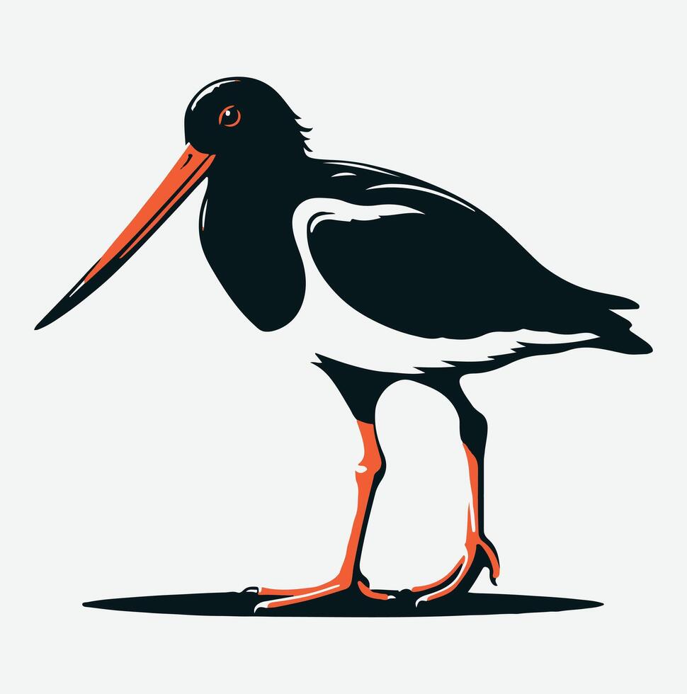 Majestic Oystercatcher Silhouette, Capturing Nature's Elegance at Sunset vector