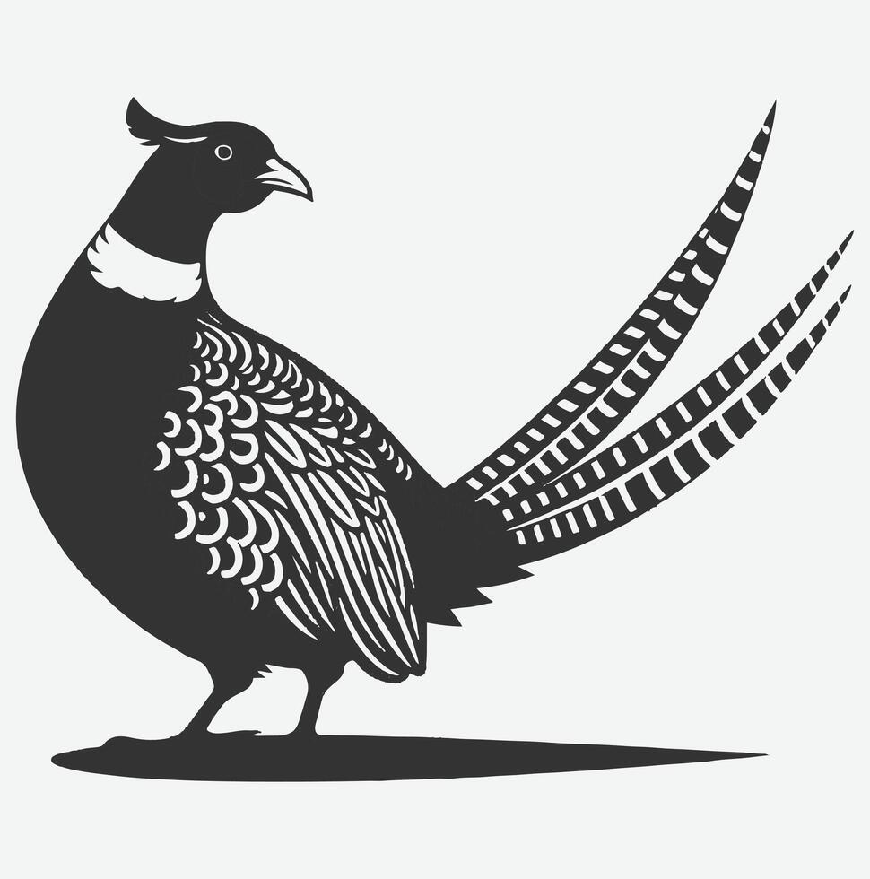 Majestic Pheasant Silhouette, Captivating Avian Art for Nature Lovers white background vector