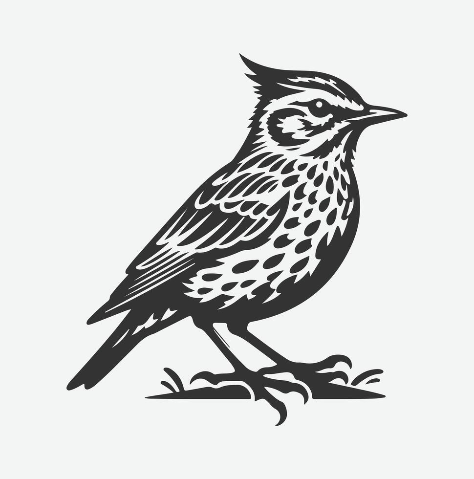 Majestic Lark Silhouette, Capturing Nature's Grace in a Timeless Silhouette vector