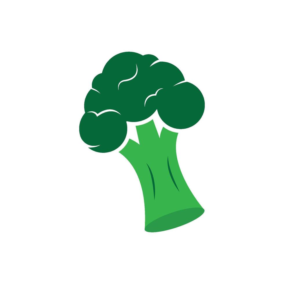 Broccoli illustration icon vector