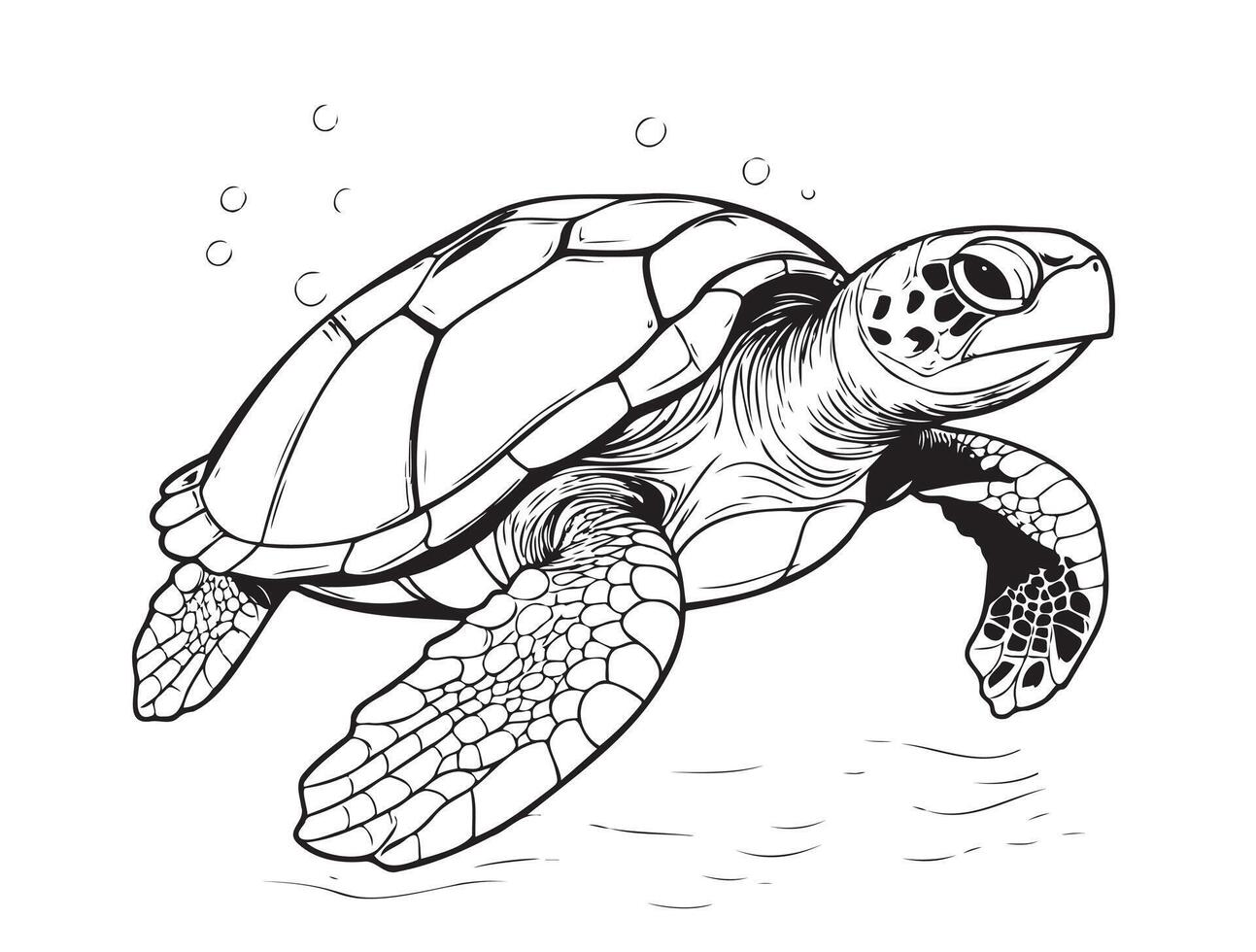 Sea turtle hand drawn engraving style sketch Underwater animals vector