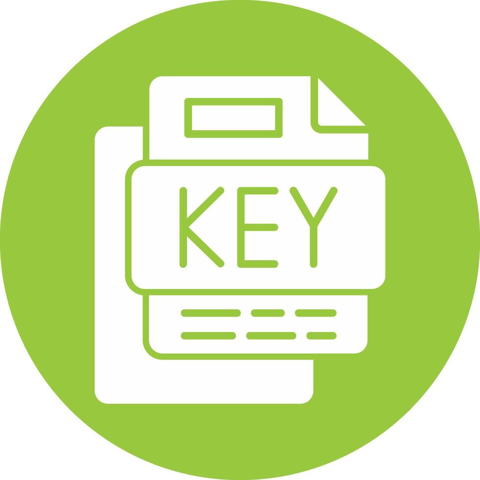 KEY File Glyph Multi Circle Icon vector