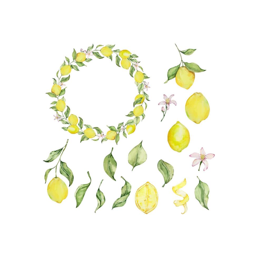 Watercolor lemon frame set with fruit, slice, leaves and flowers vector