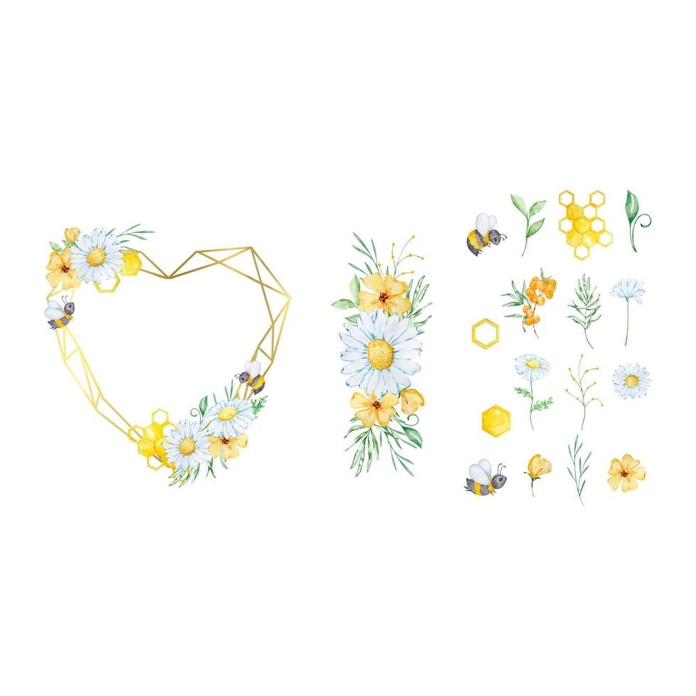 Watercolor floral frame with bee, honeycomb, daisy and leaves vector