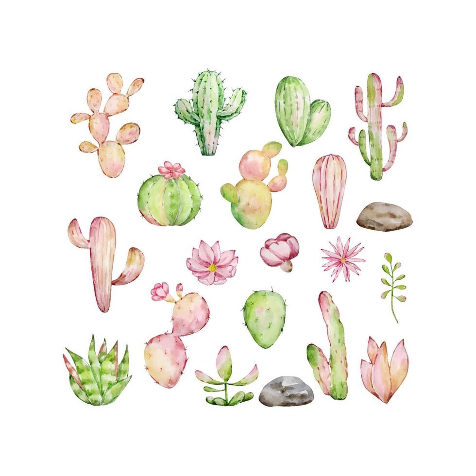 Watercolor cactus set, desert mexican plants vector