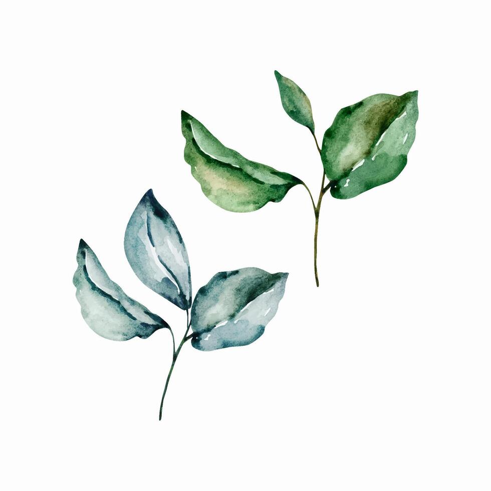 Green leaves watercolor set, floral illustration vector