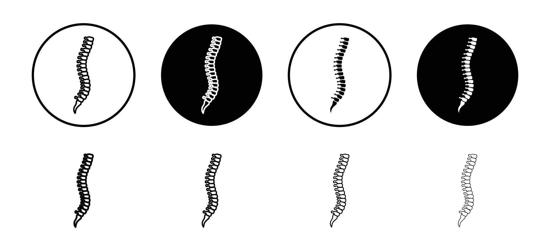 Human spine icon set collection. Human spine Outline flat Icon. vector