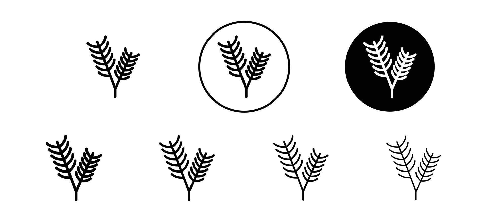 pine branch or thorns icon. natural pin tree fir needle symbol vector