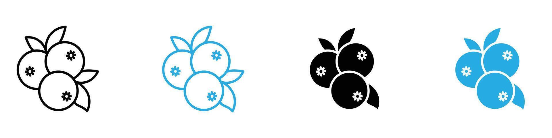 Blueberry icon set vector
