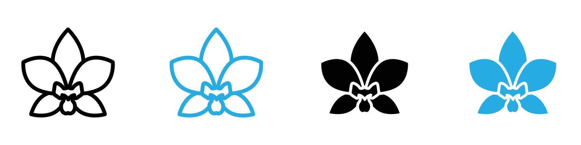 Moth Orchid icon vector