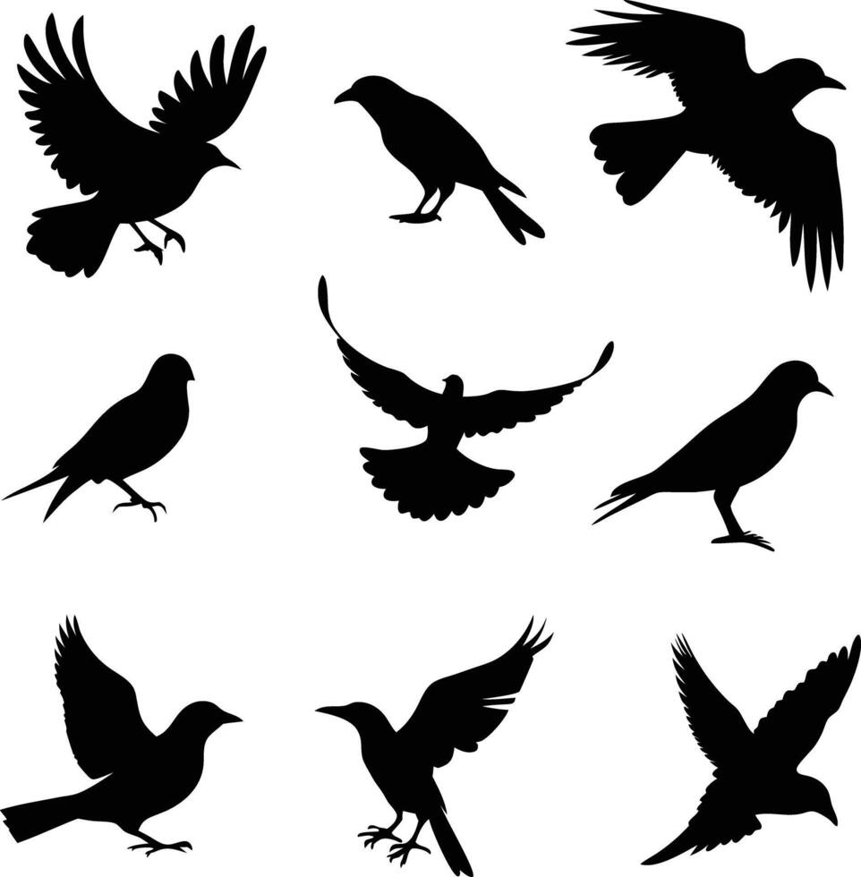 set of bird silhouette illustration black and white vector