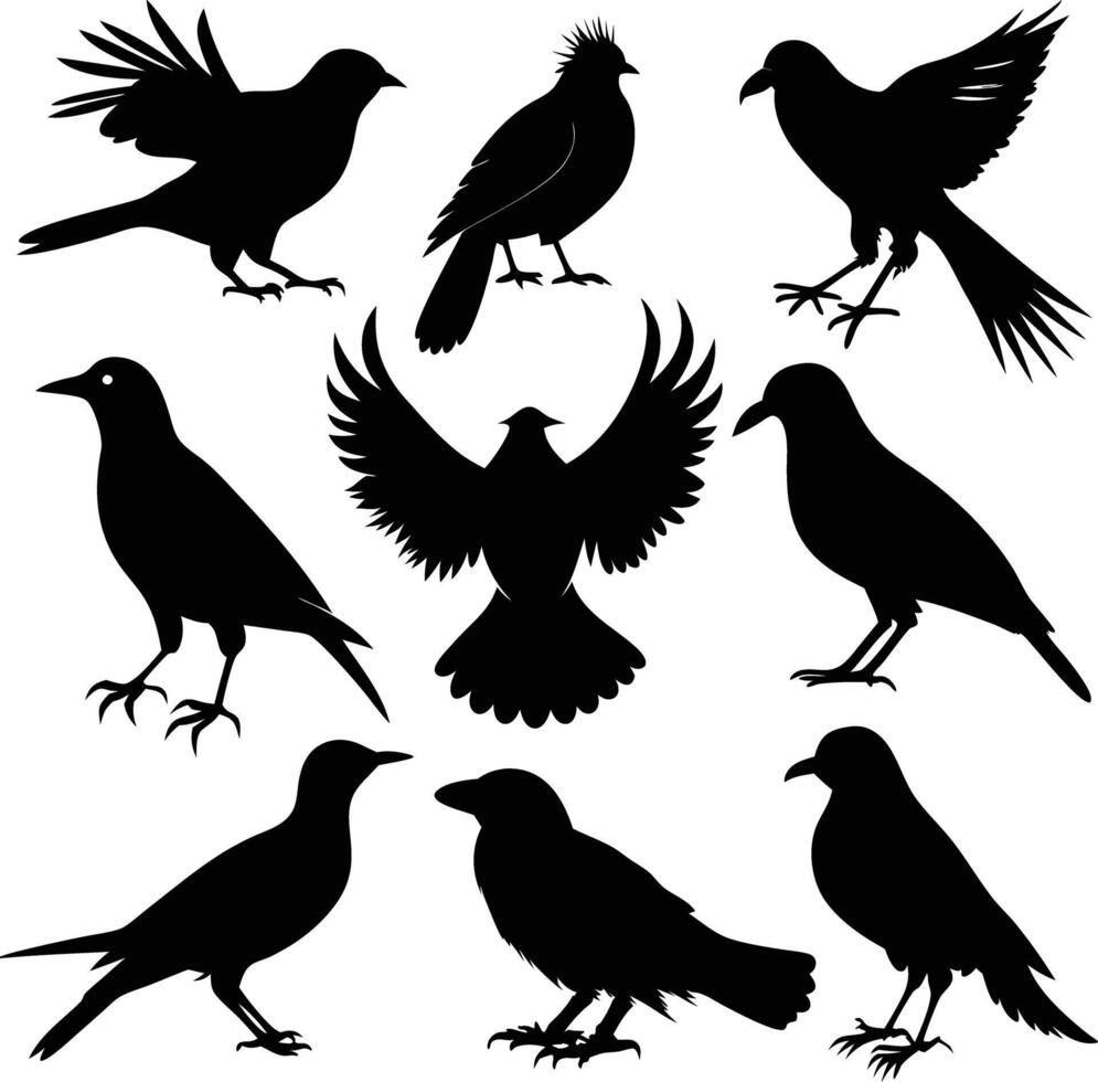 set of bird silhouette illustration black and white vector