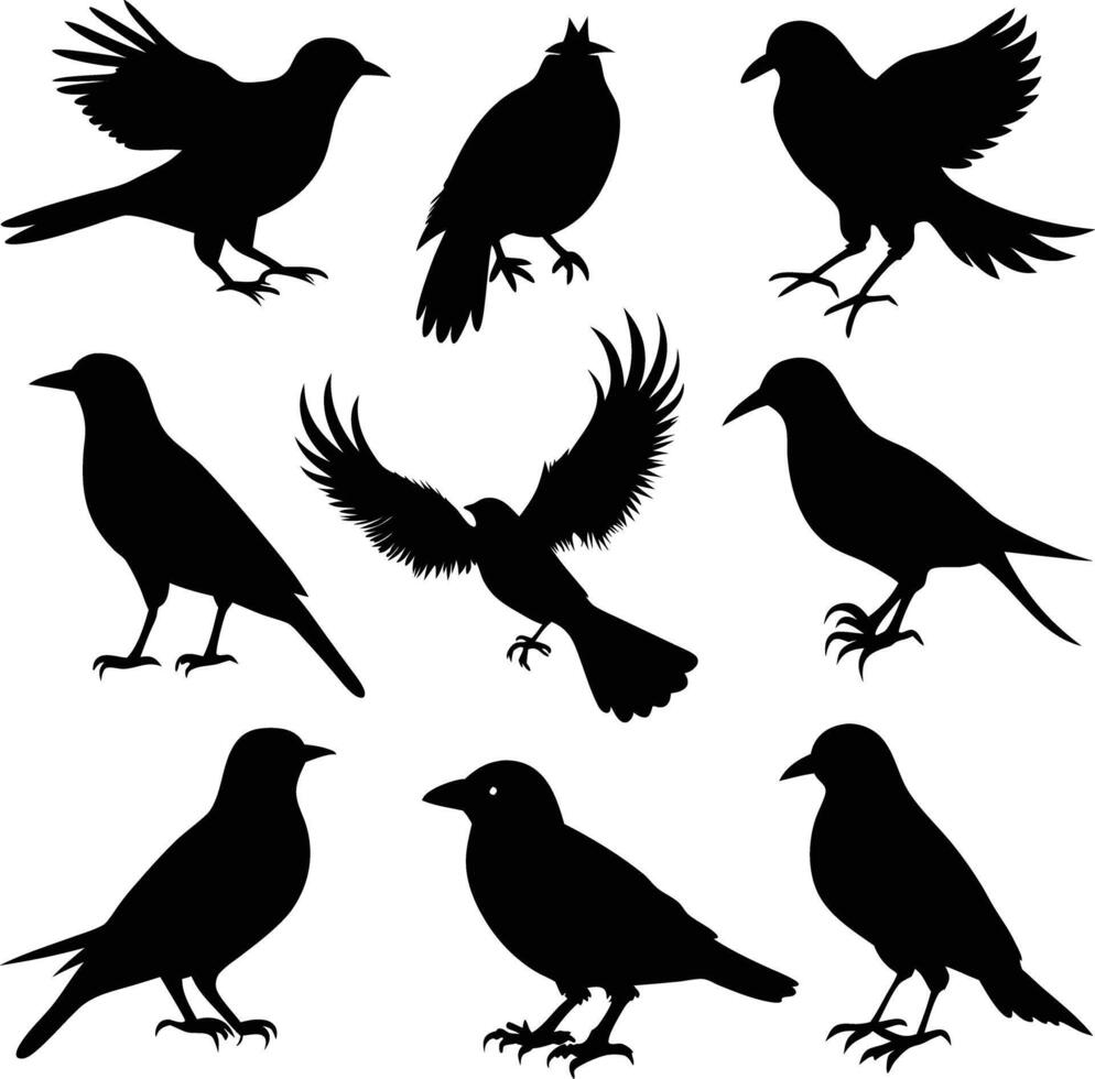 set of bird silhouette illustration black and white vector