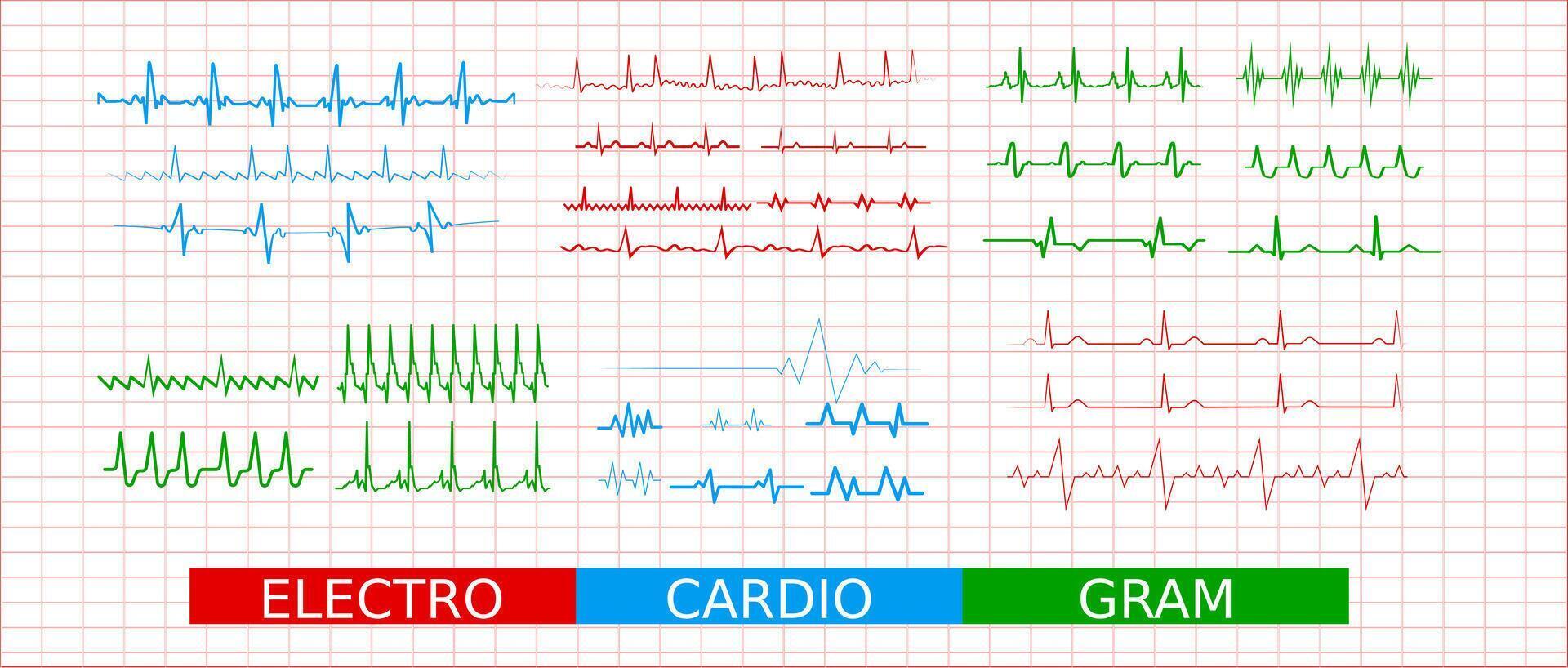 ECG Heart Rate Icons vector