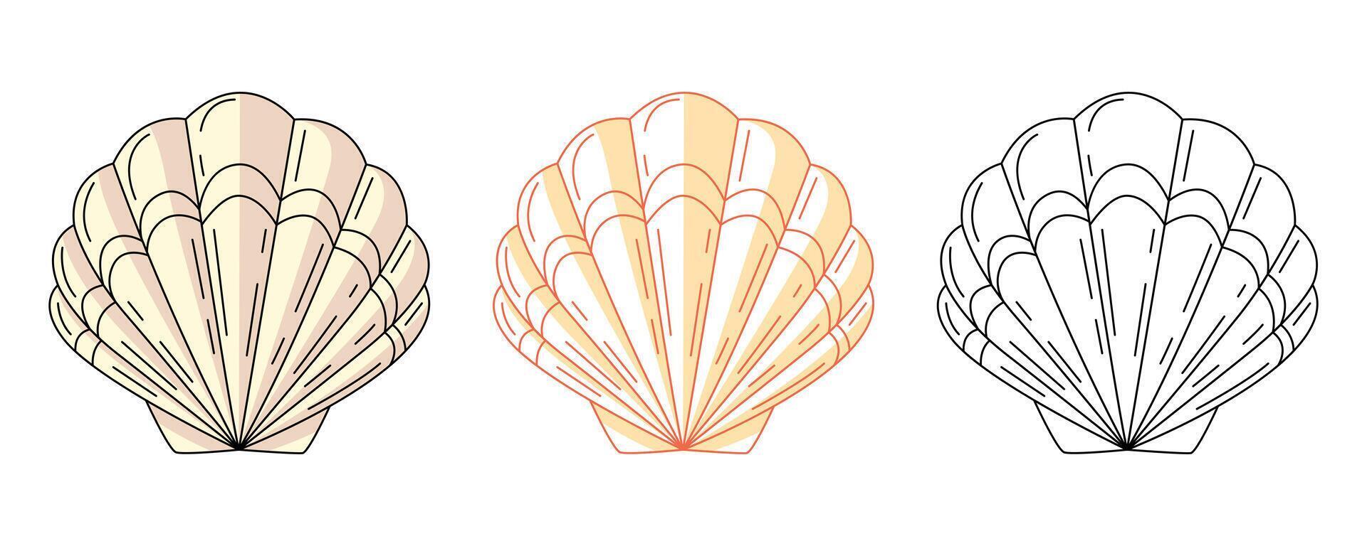 Seashell or scallop, colorful and line icons set. Summer beach, underwater, marine concept, outline icon, monochrome and color illustration. Summertime. For sticker, coloring book, logo, label vector