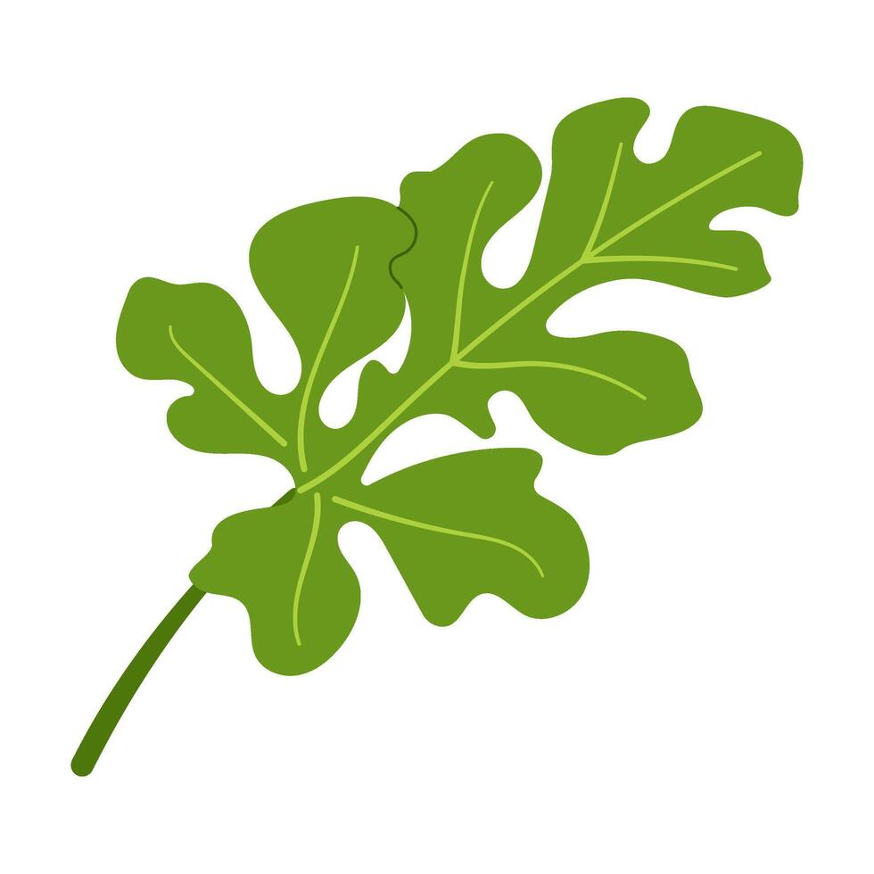 Watermelon green leaf. Hand drawn Trendy flat style isolated botanical illustration clipart. vector