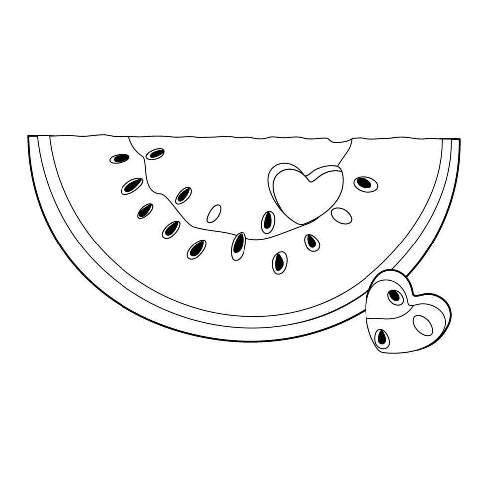 Watermelon slice with heart-shaped hole. Ripe cut watermelon Hand drawn doodle style isolated organic natural dessert, healthy sweet juicy Sliced melon summer fruit coloring page illustration vector